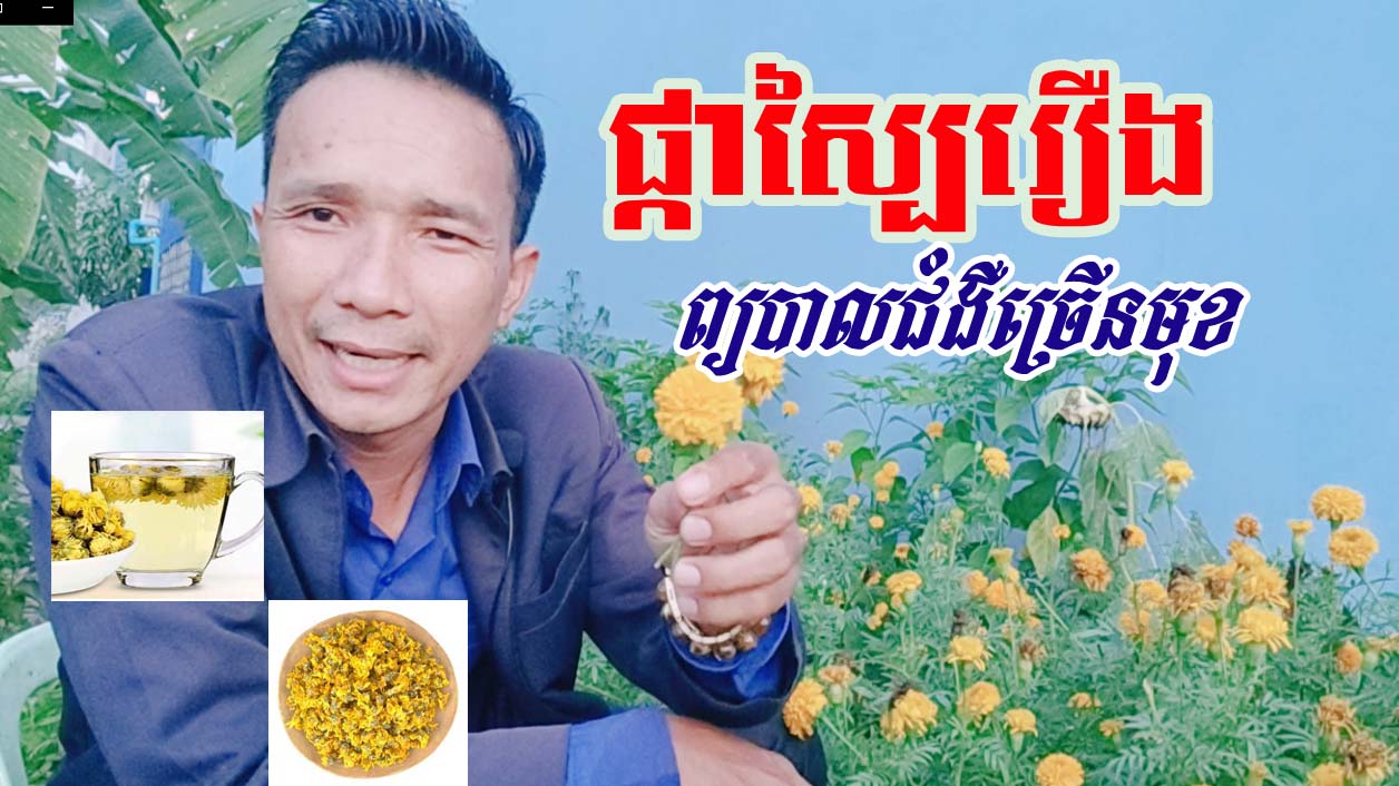 អត្ថប្រយោជន៍នៃផ្កា «ស្បៃរឿង »