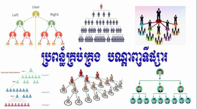 ខ្ញុំមានទទួលធ្វើ ប្រពន្ធ័គ្រប់គ្រងបណ្តាញទីផ្សារ គ្រប់ប្រភេទ ទីផ្សារបណ្តាញ Network Marketing