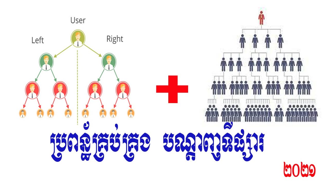 ប្រភេទទីផ្សារបណ្តាញ